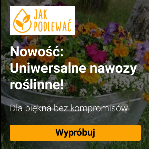 https://jakpodlewac.pl/porady/uzmz/nawozenie-storczykow-a-inne-kwiaty.html